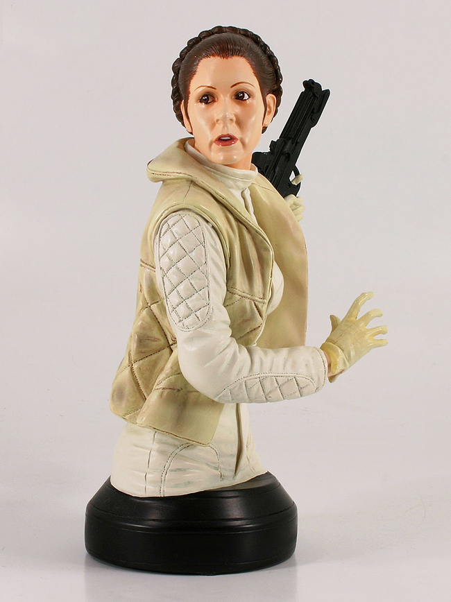 STAR WARS: PRINCESS LEIA HOTH ESB MINI BUST Princess_Leia_Hoth_fatigues_gentle_Mini_Bust_06