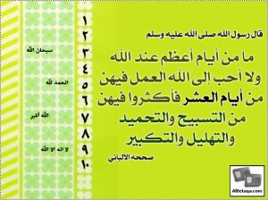 صور من العشر الأوائل من ذى الحجه 11-10-2012-21-6-29749