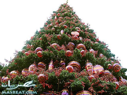 كل عام وانتم بخير بمناسبة العام الميلادي الجديد Chrostmas-tree-2011-5