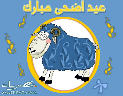 تغطية عيد الاضحى 2012 - 2013 Pictures-sheep-eid-adha-2013-2013