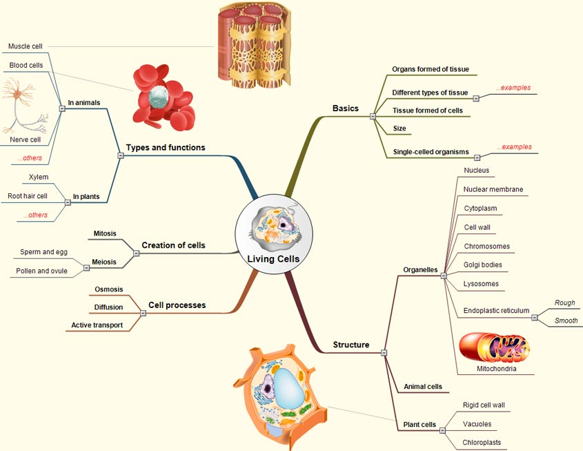 Living Cells LivingCells