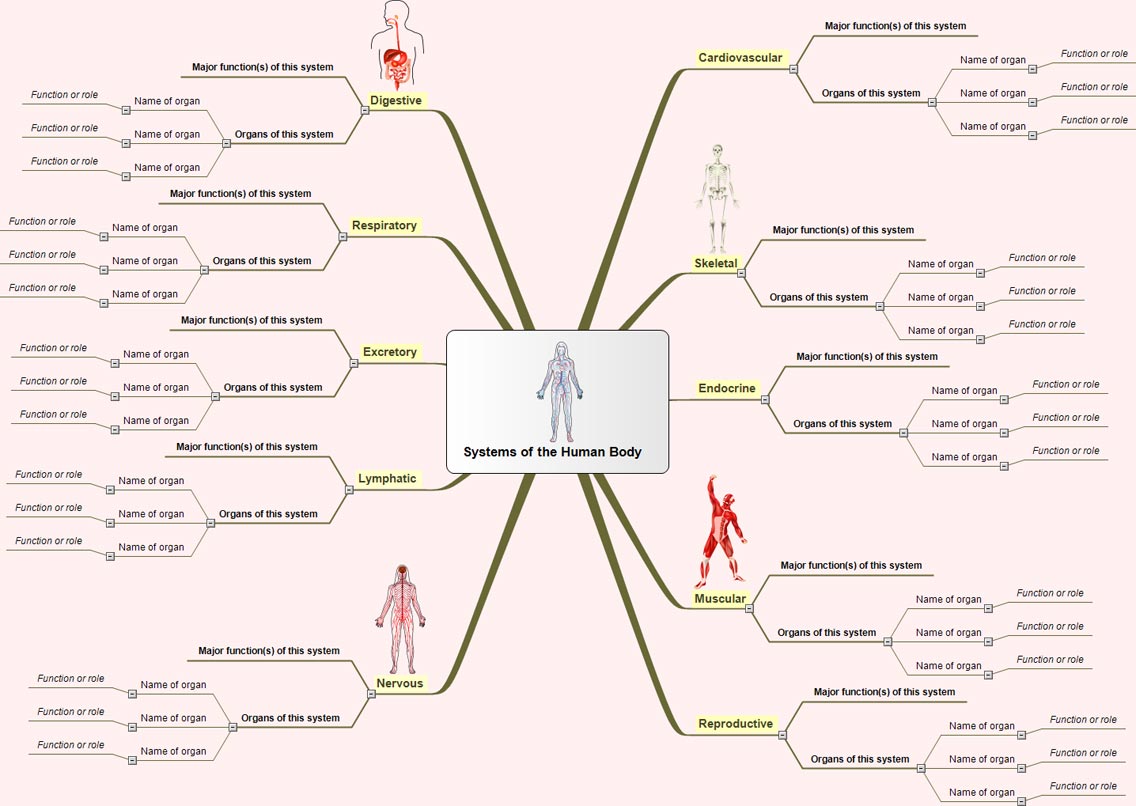 Systems of the Human Body Systems_Human_Body