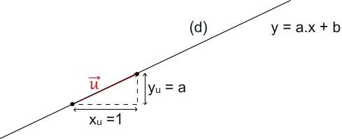 Le Vortex de l'Oregon - Changer de taille instantanément !  Paranormal ! - Page 3 Vecteur-direcrteur-droite-equation