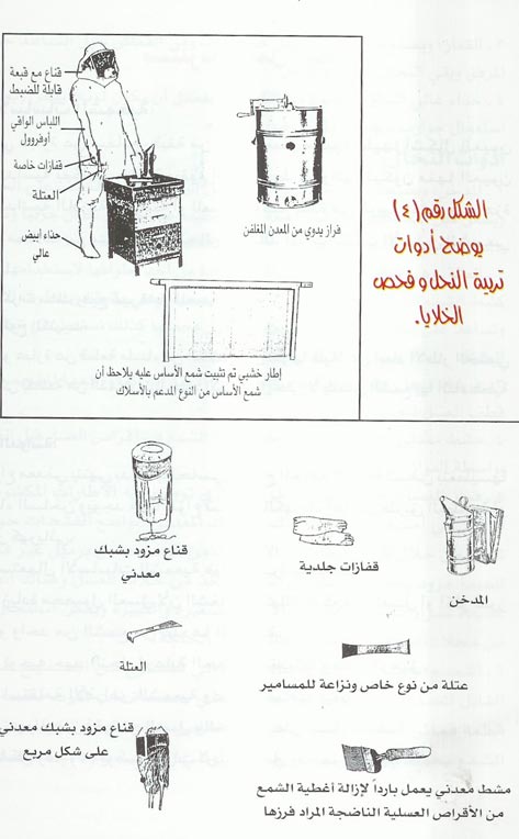 مشروع تربية النحل وانتاج العسل Bee-Honey4