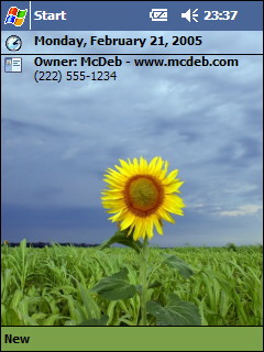       Lone_Sunflower-VGA_ss