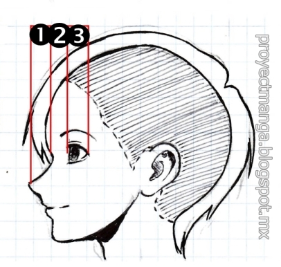 Proporciones en el rostro manga | Personajes jóvenes 8pqzs77b31d03124g