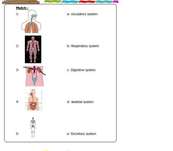 من مراجعات المدارس  science الصف الثالث  الإبتدائى ترم أول2014 Xx7sxxixa99lviefg