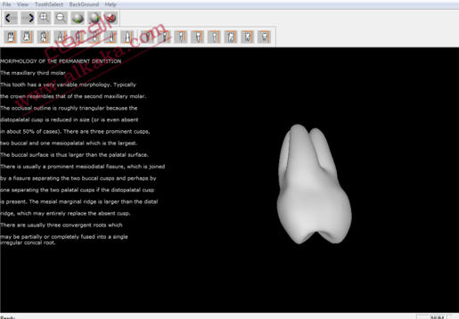 3D Dental Anatomy Simulation 5e3d00bf7177301a02503acbc304de0159a297f235a1d2a358a9b20abadbe8be4g