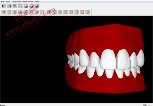 3D Dental Anatomy Simulation Eb1703b1713e98b3cc829fa3aa6dffbd40ed93d58ca3f602da1694cfa8a7dd534g