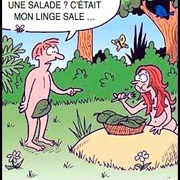 Savez-vous où je peux flooder pour atteindre 4000 messages ? - Page 5 Blague-salade