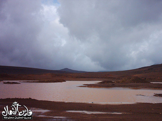 صور للأمطار والسيول على منطقة تبـــوك ... السبت 7 /12 / 1426 هـ  Mk9543_rt17