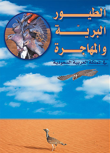 الطيور البريه ولمهاجره Mk5574_bok1