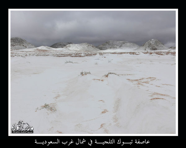 العاصفة الثلجية في شمال المملكة / بالصور ] Mk9543_o53