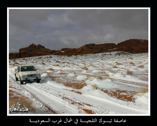 شاهد بالصور..... العاصفة الثلجية على منطقة تبوك  Mk9543_o7