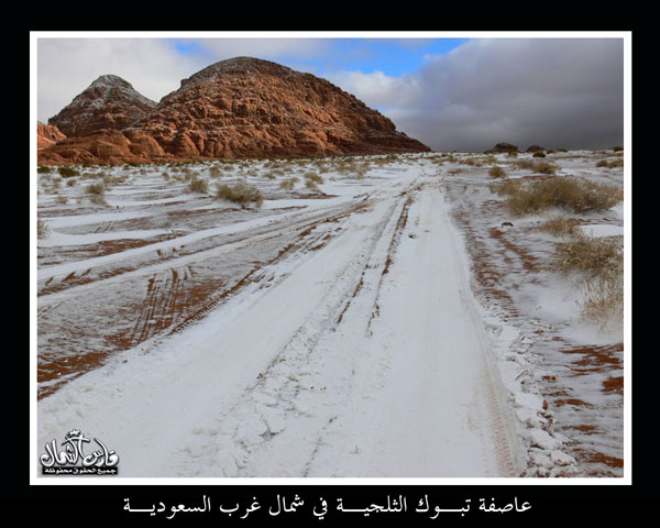 شاهد بالصور..... العاصفة الثلجية على منطقة تبوك  Mk9543_o8