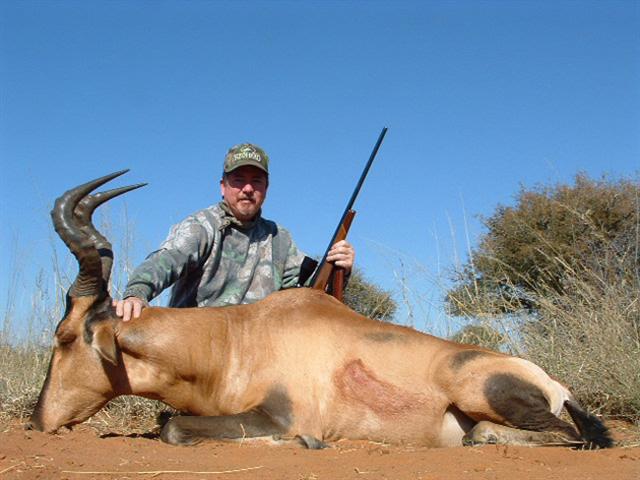 هذا الصيد ولا بلاش Mk18662_red%20hartebeest20