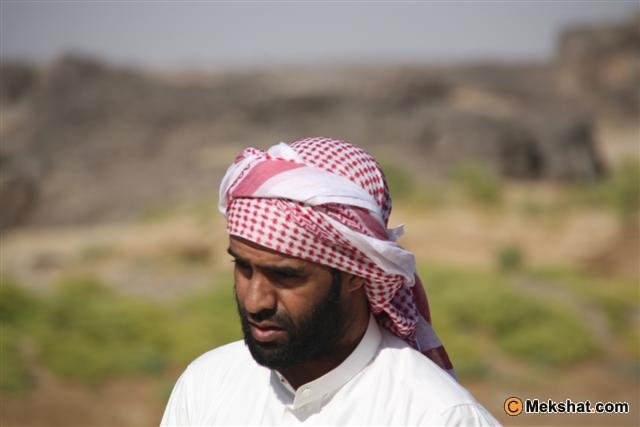 البر والطيور Mk32953_kdeh