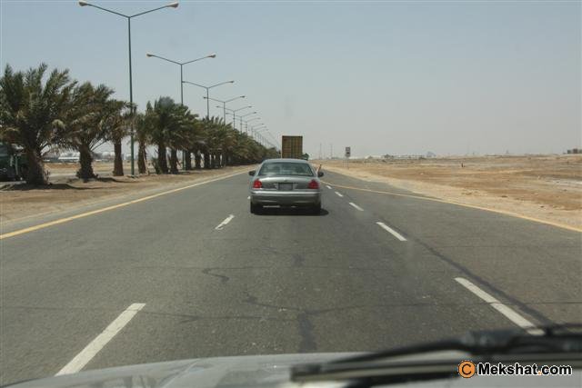 البر والطيور Mk32953_kj