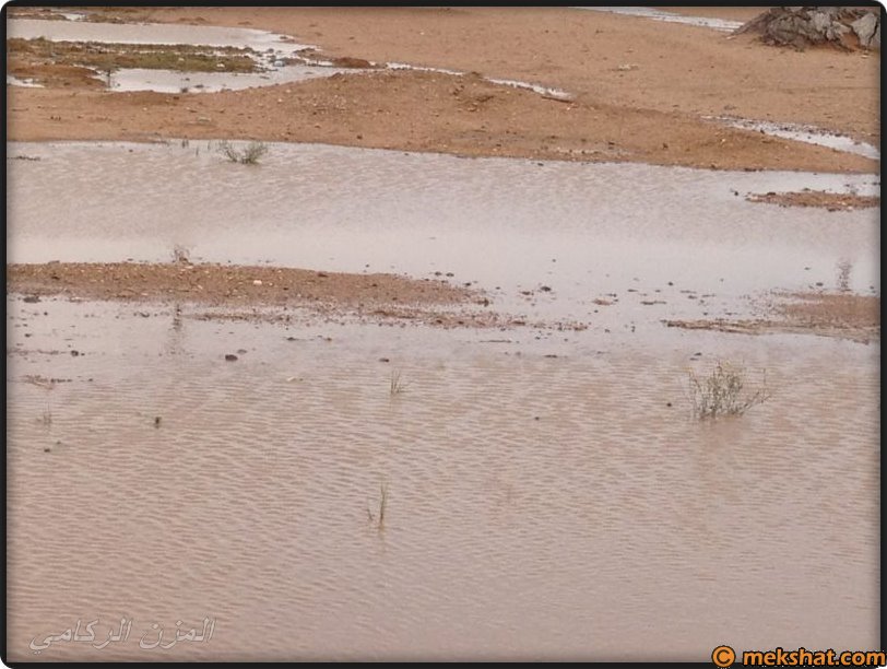 صورا لأمطار محافظة القيصومة  Mk73696_508