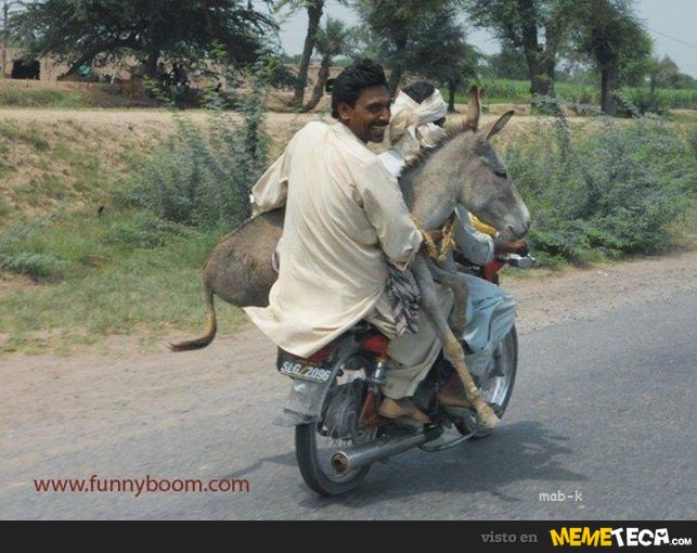 humor graficos,caricaturas,fotos curiosas - Página 8 7015_tres-burros-en-una-moto