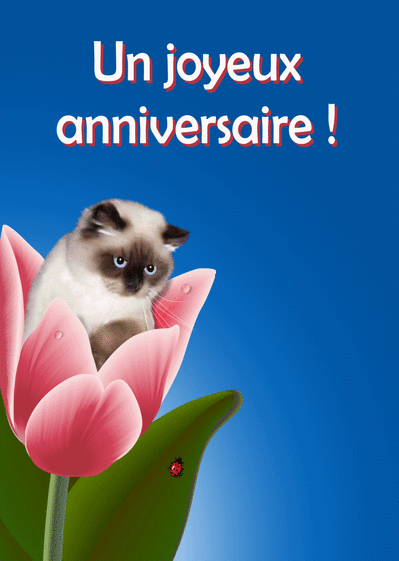 Discussion sur l' Etoile de TF1 du  25 mars 2016 - Page 9 1681-Un%20joyeux%20anniversaire%20avec%20un%20petit%20chat_maxi