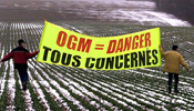 Pétition:OGM : c’est toujours non !!Pas de patate G3M et de culture du maïs MON 810 en Europe!! Petition-img-2599