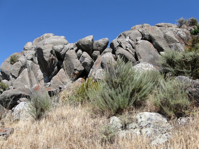 Mastodon Bones Found In San Diego Place Humans in America 130,000 Years Ago Berkeleywalls2