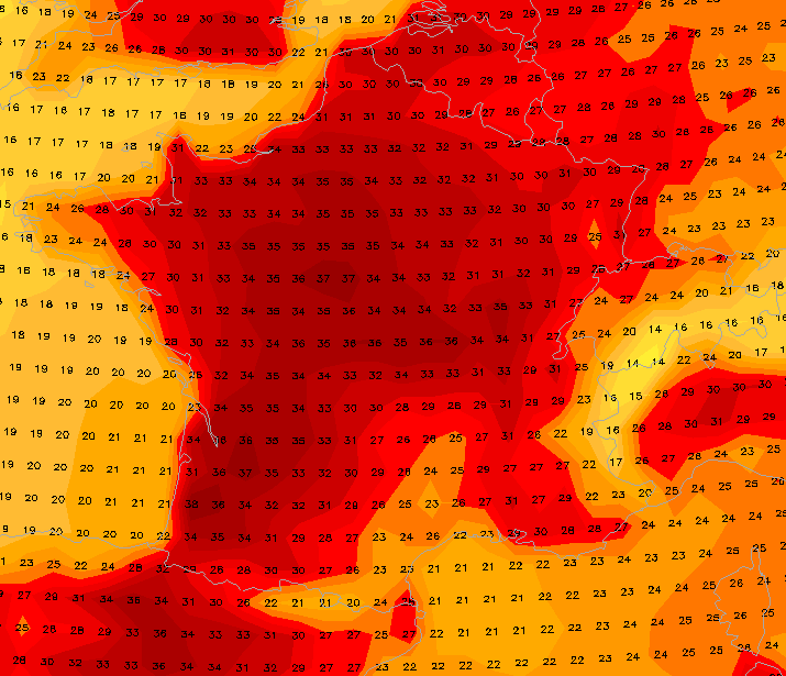 L'épisode de canicule se confirme pour la semaine prochaine 15