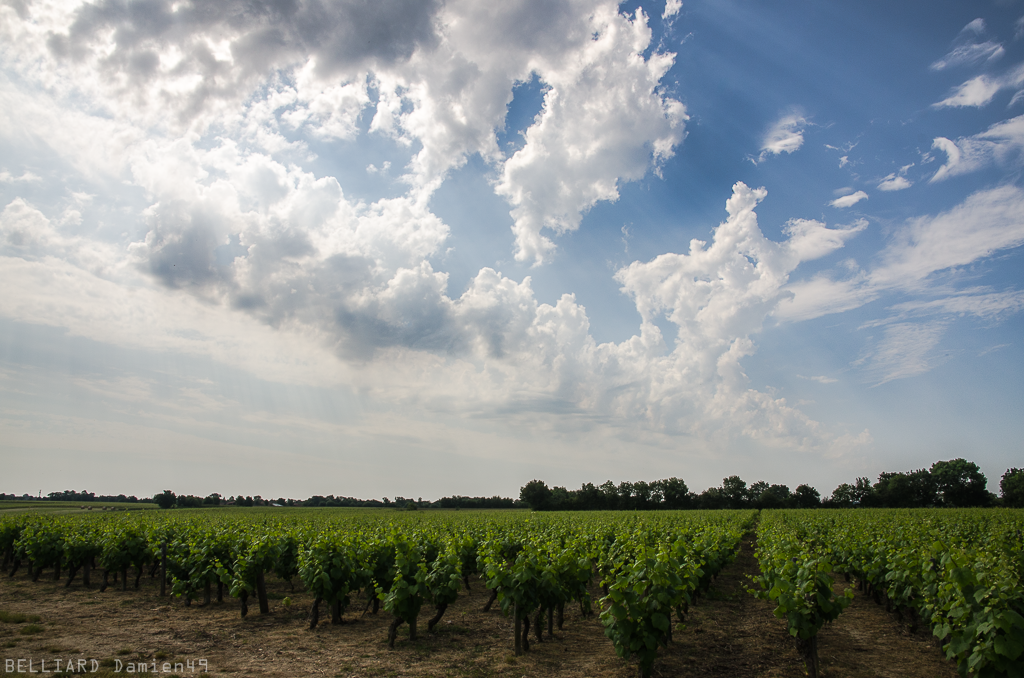 Lumière Supercellulaire du 05 juin 2015 + Gustnadoes 20150605_11h37_preorageux1