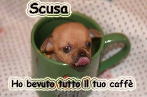 BUONGIORNO FORUM!!!!  Saluti lampo Buongiorno-Buona-Giornata-1