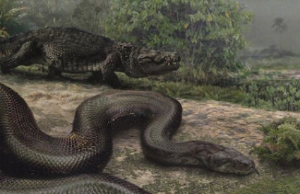 Najveca zmija na svijetu Titanoboa