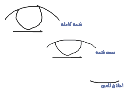 سلسلة على الله توكلنا لتحريك الانمي الي بدو اتعلم احرك الانمي فليدخل B9d761a4a8145c6b80ce9e4e37face20