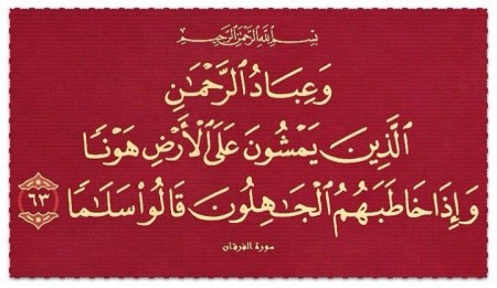 سجل حضور الأعضاء اليومي - صفحة 4 %D8%A7%D9%8A%D8%A7%D8%AA-%D9%82%D8%B1%D8%A3%D9%86%D9%8A%D9%87-2-450x261