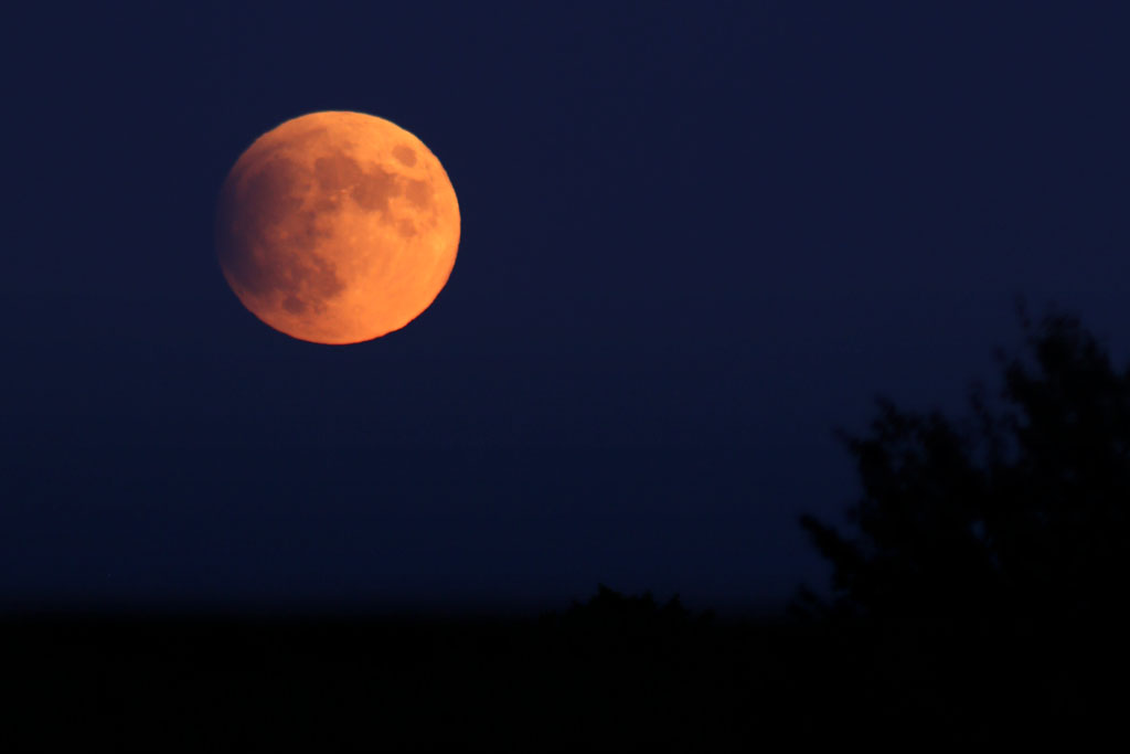 Eclipse partielle de Lune : bilan et photos Eclipse12