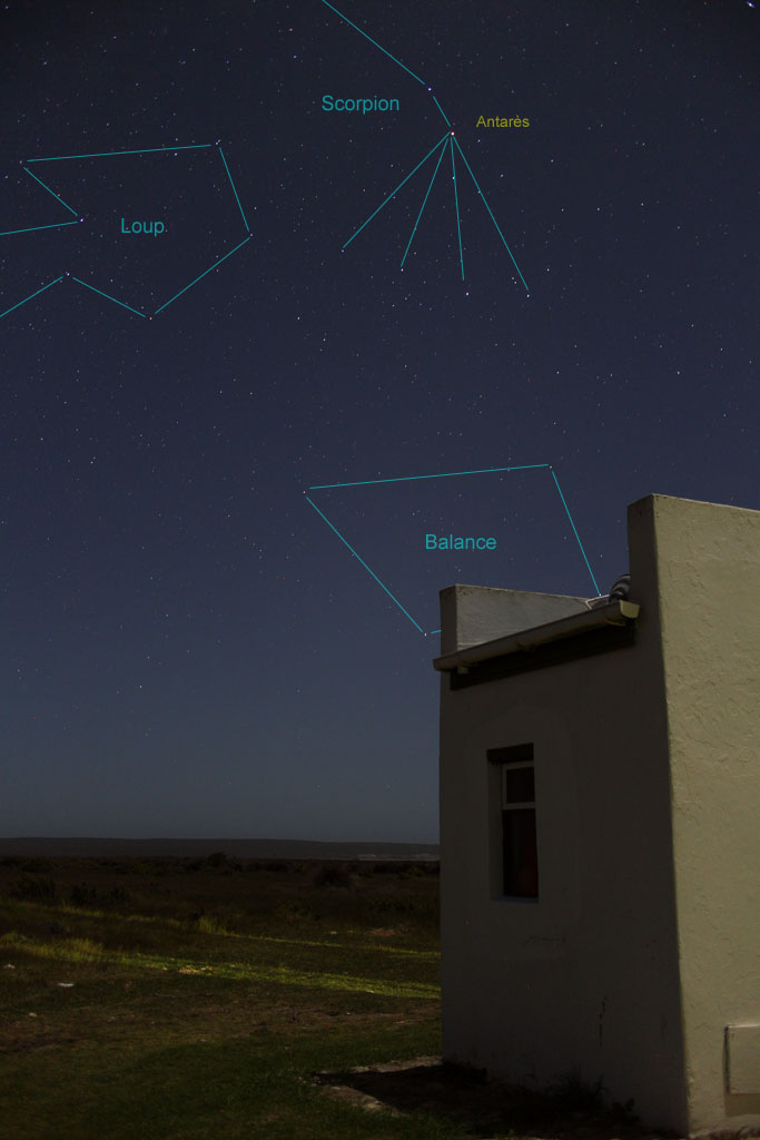 Ciel austral : filés et circumpolaires SA-A17L