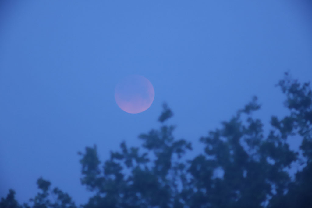 Eclipse totale de Lune du 16 mai 2022 Eclipse30-5h45