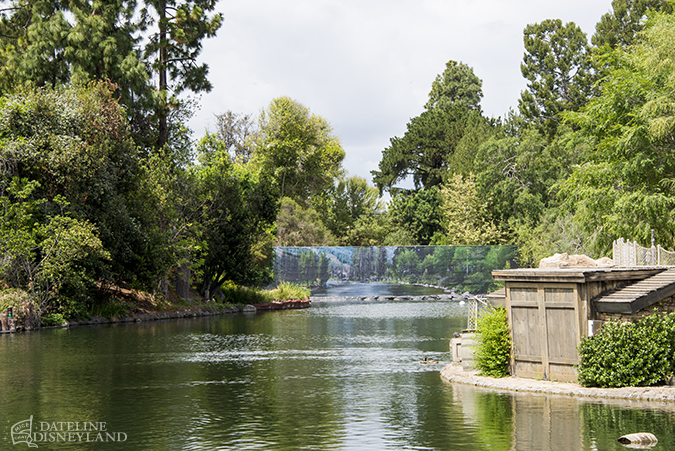 [Disneyland Park] Star Wars: Galaxy's Edge (31 mai 2019) - Page 8 04-11-16-DSC_7893