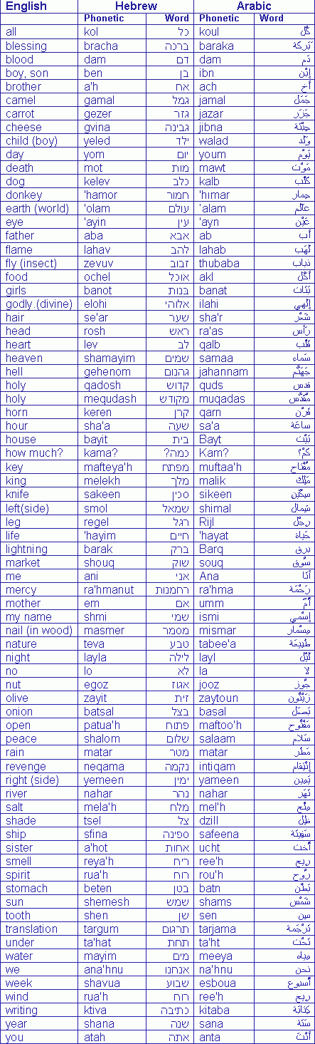 كلمات متشابهة بين العربية العبرية Engnew