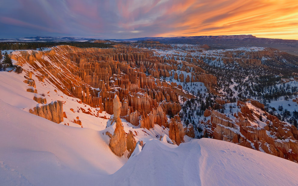 foto - da http://www.mikereyfman.com MR0103