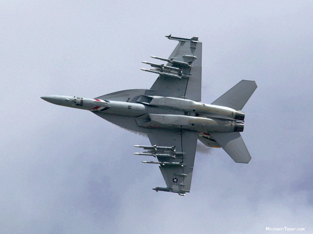 Brasil festeja negocio militar con EE.UU. Fa_18_ef_super_hornet_l2