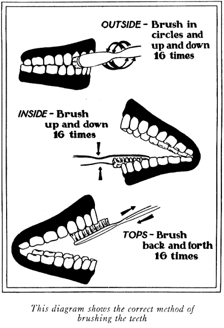 ملف عن تسنين الإطفال Brushing_The_Teeth