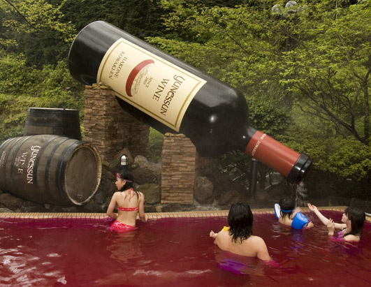 Q esporte eh esse? Wine-Spa-Japan