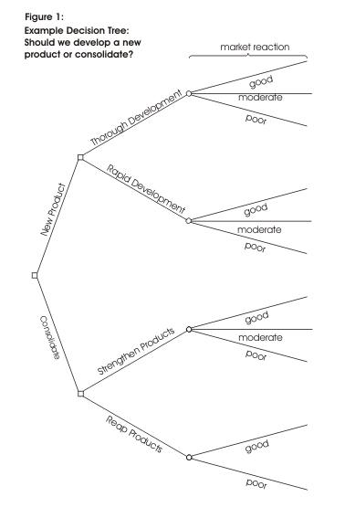 Decision Tree Analysis Notes Ted4_1