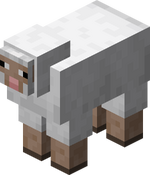 Enz Minecraft | Wiki Minecraft 150px-Sheep