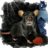 Galerie von SeonHa - Zoomumba Forum Avatar-duestererrattenschneemannwinter-ratte