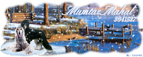 Galerie von SeonHa - Zoomumba Forum Sig-winter-mitmumtaz-mumtazmahal