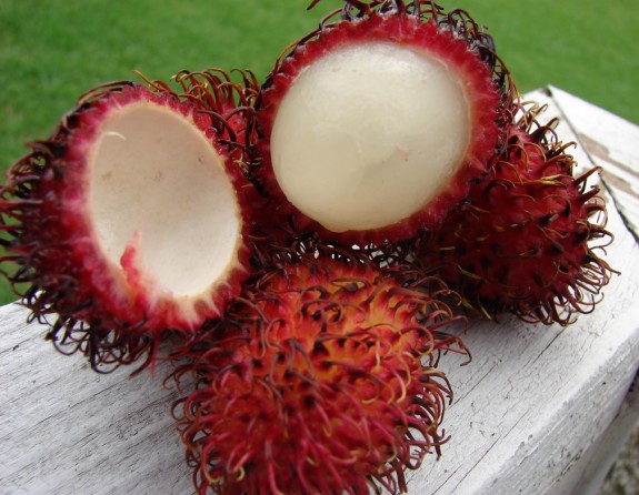 Najčudnije voće na svetu Rambutan-575x446