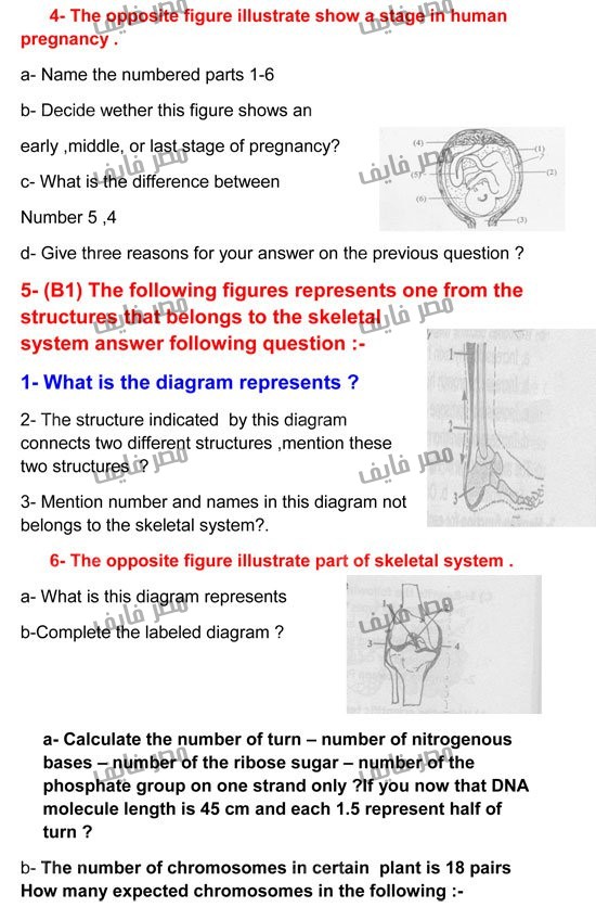 أسئلة للمراجعة النهائية لمادة الأحياء للثانوية العامة لغات 5-8