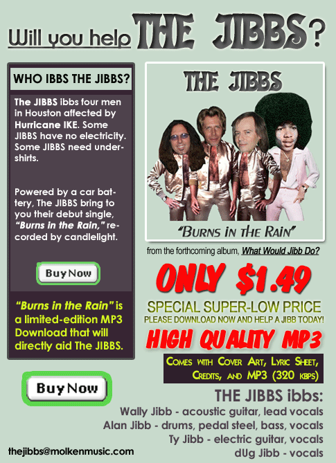 Strange new King's X side band Jibbsflyer