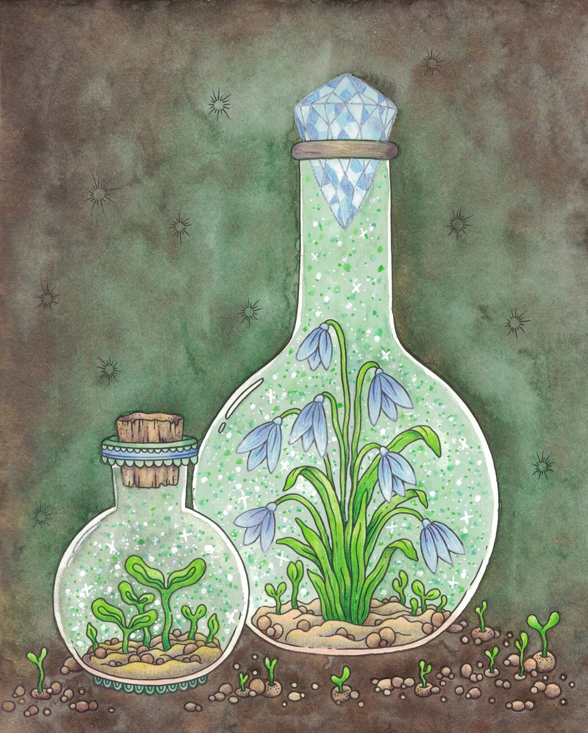 Galerie de [TarteCitron] - Page 9 Hanna-karlzon-bottles-seasons